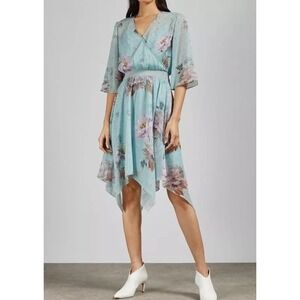 Ted Baker London Dannyel Hankerchief Floral Mini Dress